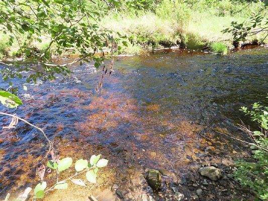 Nova Scotia - 25 Hektar großes Areal mit ehemalige