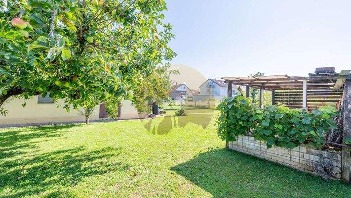 haus-baden-baden-haueneberstein-garten-wolf-immobilien