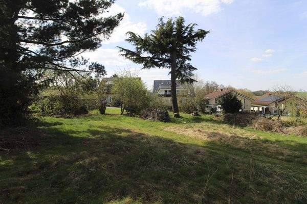 Blick Grundstück Richtung Straße