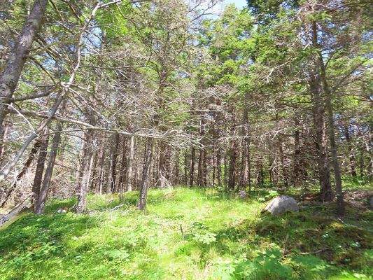 Nova Scotia - Grover?s Point - Wunderschönes Uferg