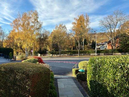 Blick Richtung Volksgarten