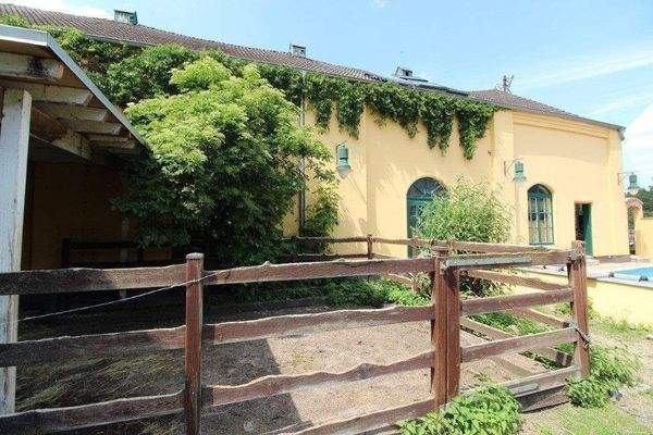 Paddock-Blick Scheune