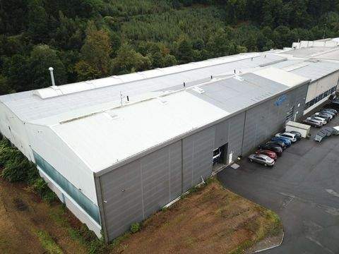 Werdohl / Ütterlingsen Halle, Werdohl / Ütterlingsen Hallenfläche