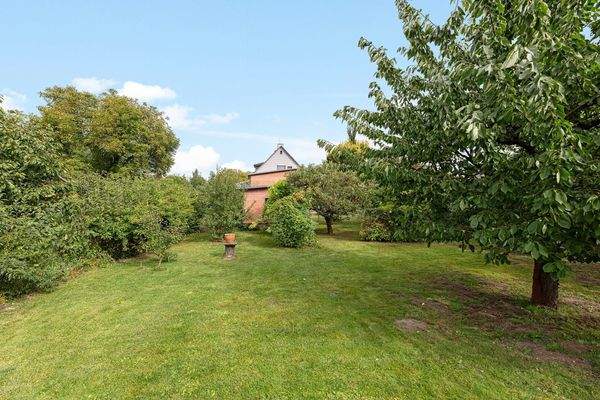 Großer Garten mit 778 qm und Obstbäumen
