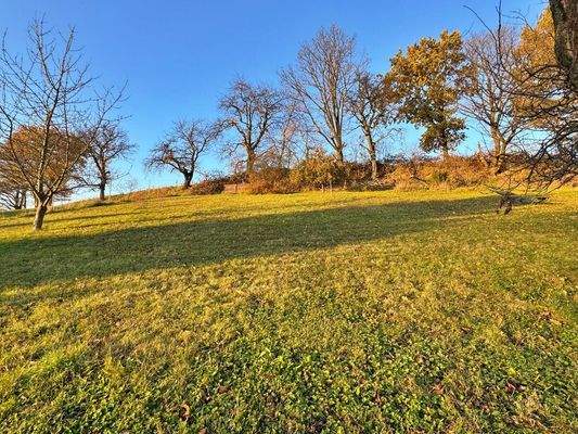 Blick auf das Grundstück