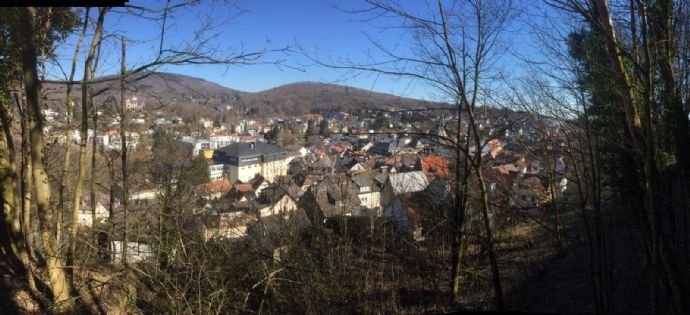 Bsp.Allg Bild  Königstein i. Ts. der Natur so nah