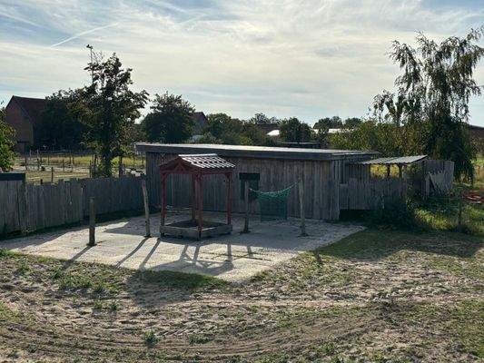 befestigter Futterplatz