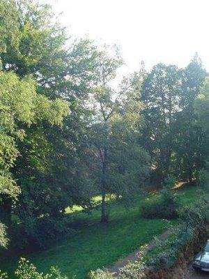 Blick in den Stadtpark