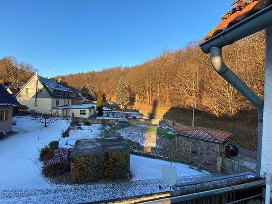 Blick ins Grüne.jpg