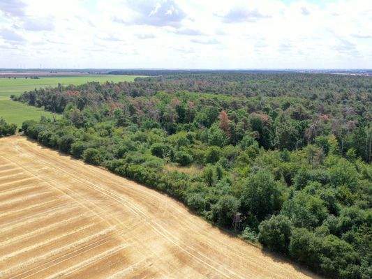 Luftaufnahme - Blick Richtung Süd-Osten
