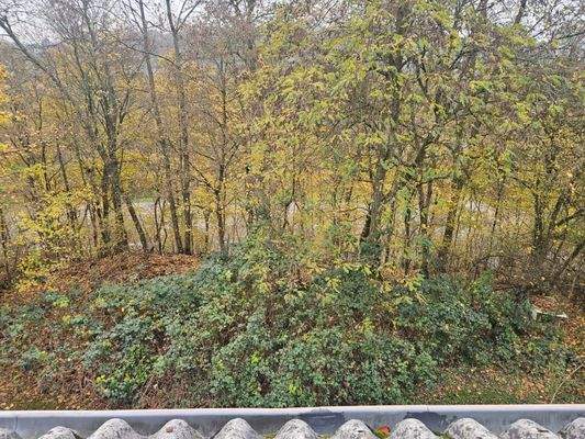 Ausblick in die Natur