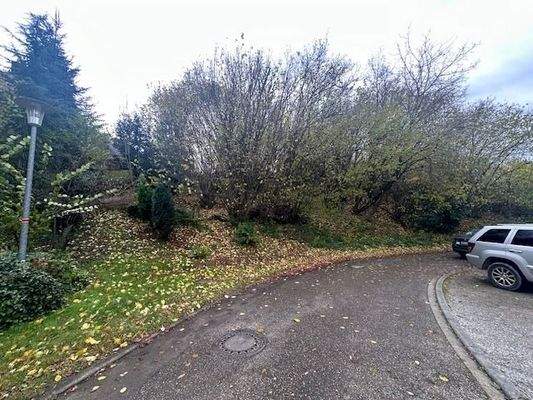 1) G_Gaggenau_Grundstück unten