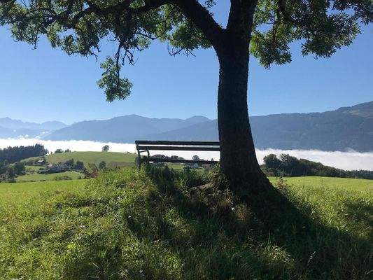 Sehenswürdigkeiten in der Umgebung