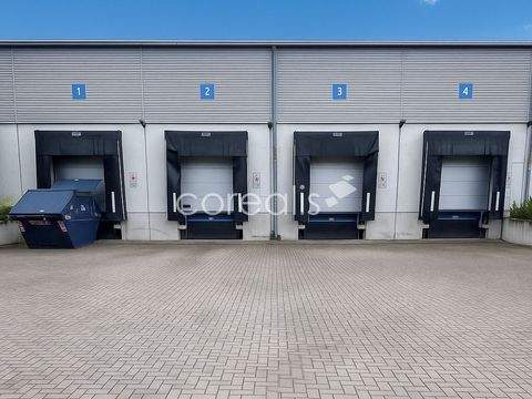 Troisdorf Halle, Troisdorf Hallenfläche