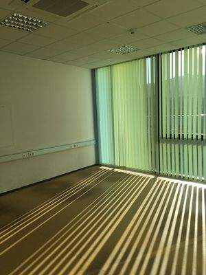 Foto 3.jpg