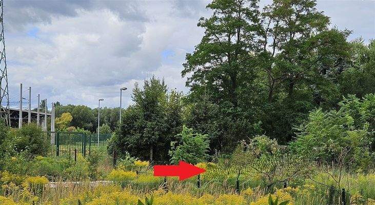 Grundstück hinter dem Zaun