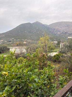 WhatsApp Image 2026-01-05 at 11.24.59 (4).jpeg