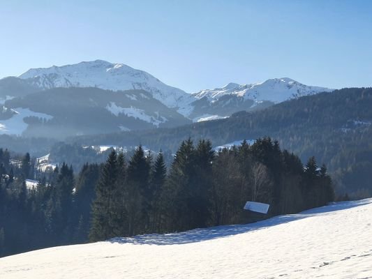 Bild 20