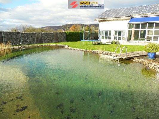 Luxus Haus in Grenzach20.jpg