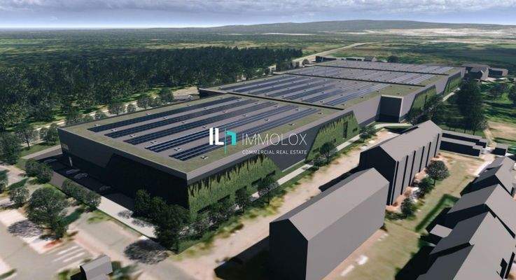 Telefon: 069 50699990