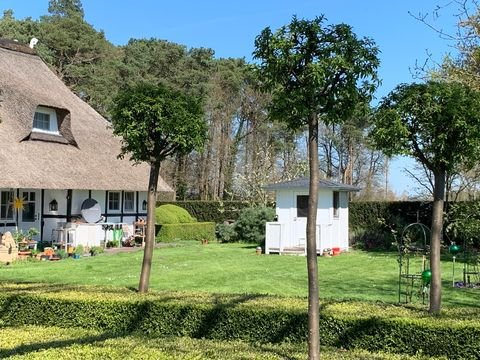 Warmsen Häuser, Warmsen Haus kaufen