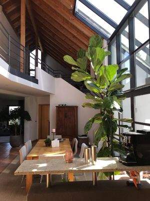 lichtdurchfluteter Essbereich