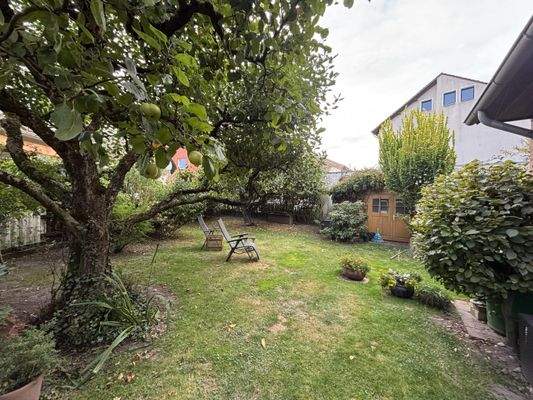 Garten hinter dem Haus