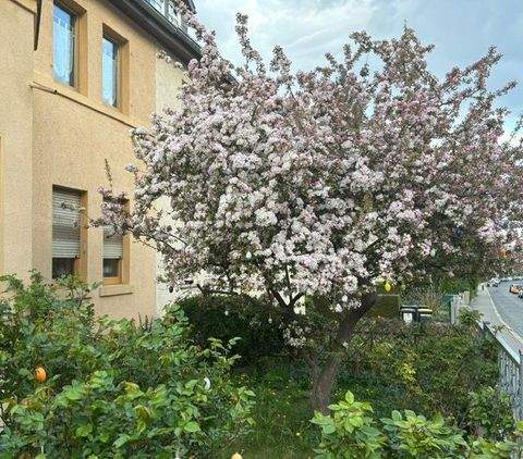 Erfurt Häuser, Erfurt Haus kaufen