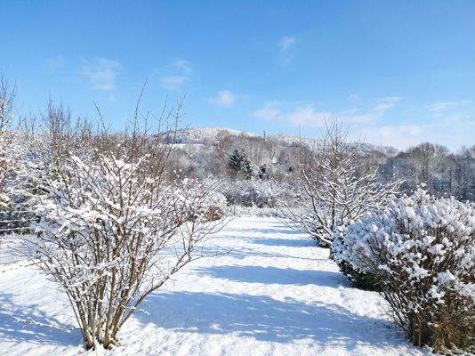 Garten (Schnee - KI)