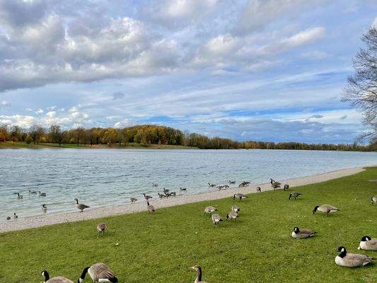 Karlsfelder See nur 5 Minuten entfernt