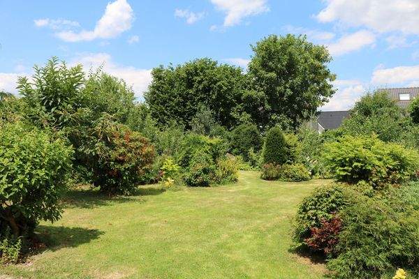 V1658 Blick in den Garten Bild 2