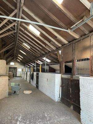 Pferdeboxen rechte Seite