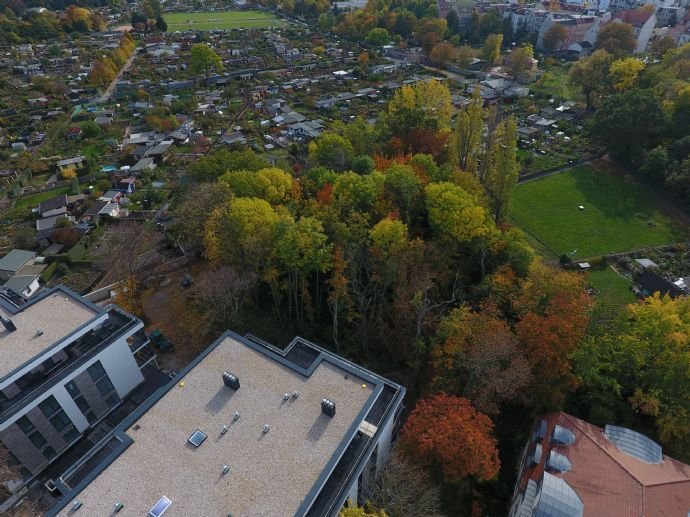 VILLEN am AUENWALD in BESTLAGE von LEUTZSCH | FERTIGSTELLUNG ENDE 2022