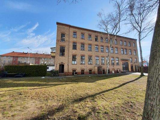 Garten hinter Gebäude.jpg