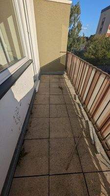 PXL_20250915_161442305