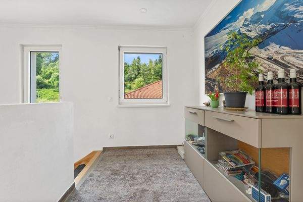 Löwen-Immobilien-Haus-Eigenheim-St.Veit-Klagenfur