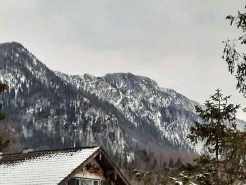 Kochel am See Wohnungen, Kochel am See Wohnung mieten