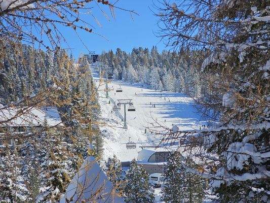 Skivergnügen an der Wildkopfbahn