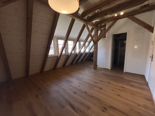 Wohn-/Schlaf-/Esszimmer