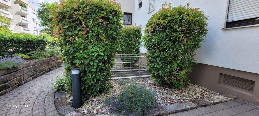 Eingang zum Haus.jpg