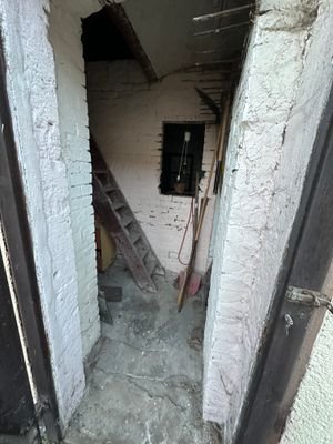 IMG_4469.jpg