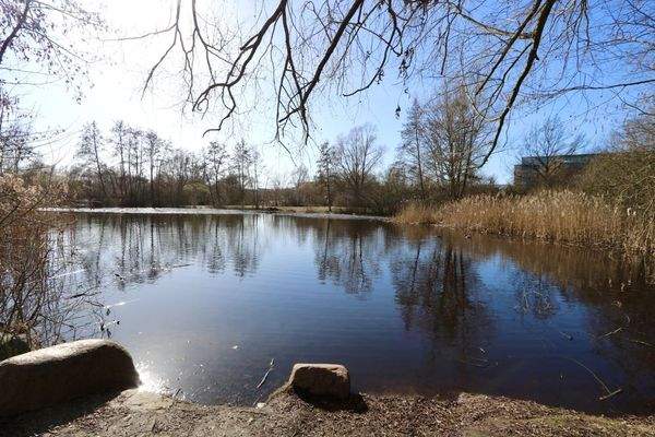 auf einen kleinen Teich