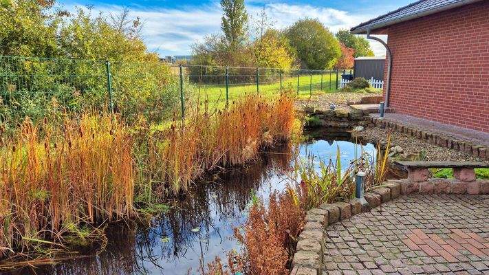  Schwimmteich mit Goldfischen