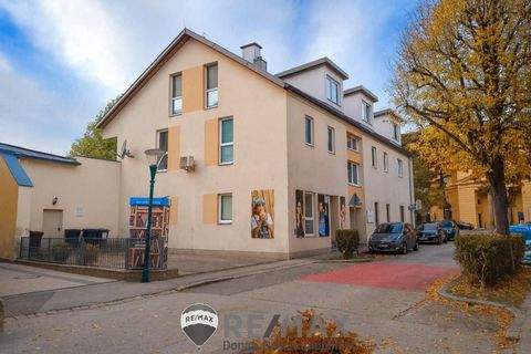 Hinterbrühl Wohnungen, Hinterbrühl Wohnung mieten