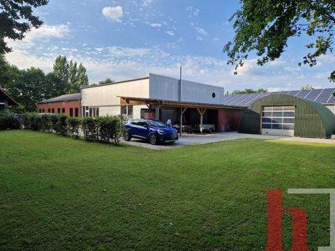 Dinklage Halle, Dinklage Hallenfläche