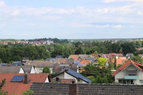 ... Ausblick zur Stadt Roth