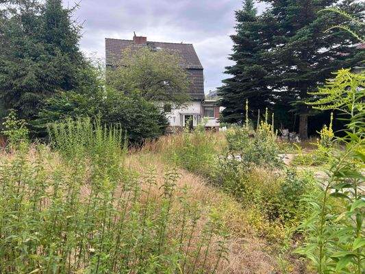 Grundstücksblick auf das Vorderhaus