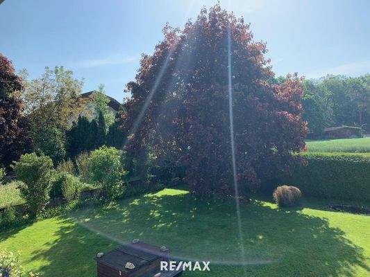Garten 2