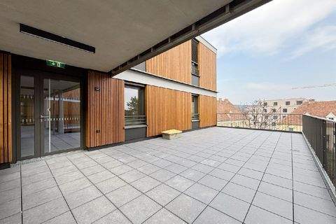 Mödling Wohnungen, Mödling Wohnung mieten