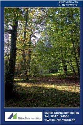 Oberursel  Im Rothkopf 9 16 Garten 2 Email